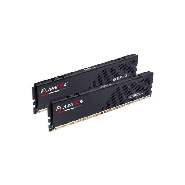G.Skill Flare X5 F5-5600J4040D24GX2-FX5 memory module 48 GB 2 x 24 GB DDR5 (F5-5600J4040D24GX2-FX5)