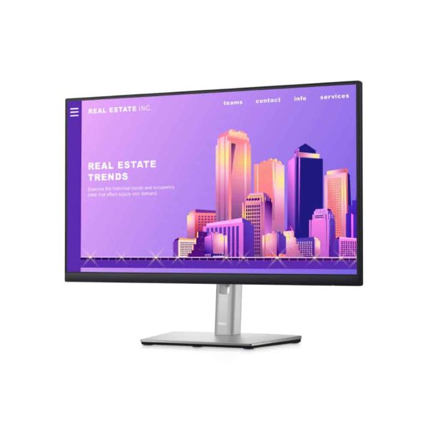 Dell P2422H LED Monitor 24 inch (210-AZYX/5Y)