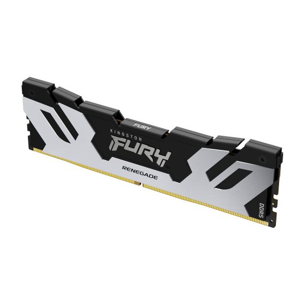 Kingston Technology FURY 24GB 6400MT/s DDR5 CL32 DIMM Renegade Silver XMP (KF564C32RS-24)