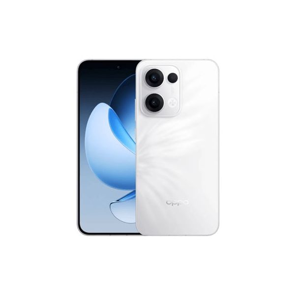OPPO 13 5G 16,7 cm (6.59") Dual SIM Android 15 USB Type-C 12 GB 256 GB 5600 mAh Wit (CPH2689PE)