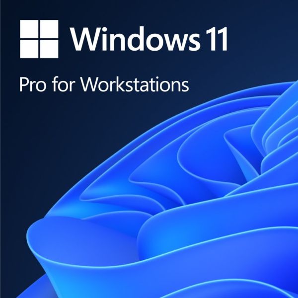 Microsoft Windows 11 Pro for Workstations PL (HZV-00117)