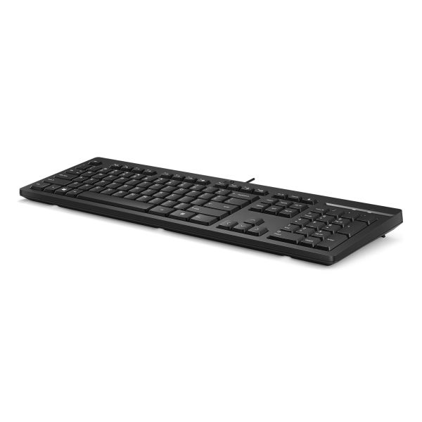 HP 125 USB WD KBD (bulk 12) (266C9A6#ABB) HP 125 USB WD KBD (bulk 12) (266C9A6#ABB)