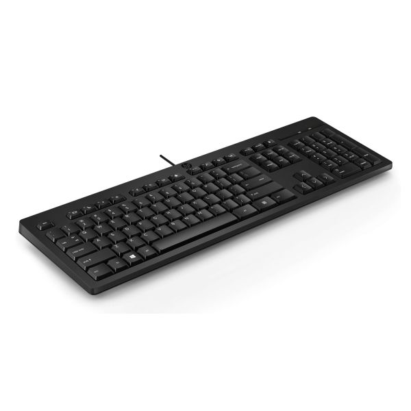 HP 125 USB WD KBD (bulk 12) (266C9A6#ABB) HP 125 USB WD KBD (bulk 12) (266C9A6#ABB)