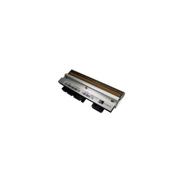Zebra P1004234 printkop Thermo transfer (P1004234)
