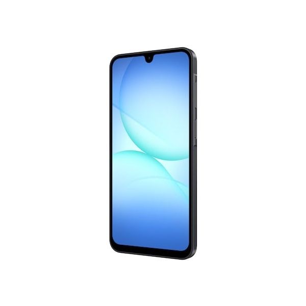 Samsung Galaxy A17 LTE 17 cm (6.7") Hybride Dual SIM 4G USB Type-C 8 GB 256 GB 5000 mAh Zwart (SM-A176B/DS)