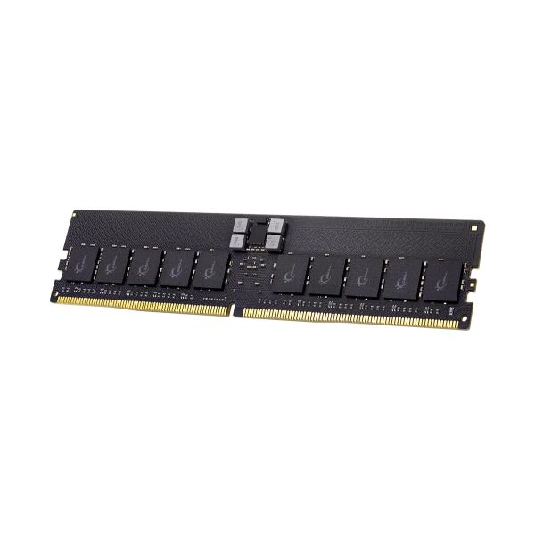 G.Skill DDR5-5600 32GB CL46 ECC Registered RDIMM (F5-5600R4645A32GX1-G5)