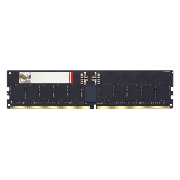 G.Skill RAM 32GB DDR5-6400 CL52 ECC RDIMM (F5-6400R5252A32GX1-G5)