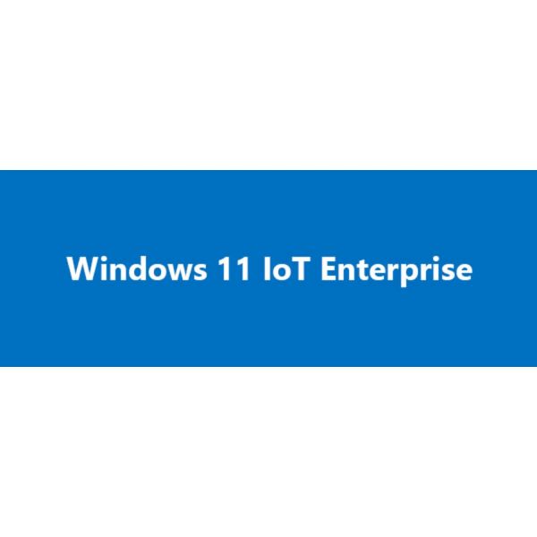 Microsoft Windows 11 IoT Ent. LTSC 2024, Entry (MS0 EP2-07328)