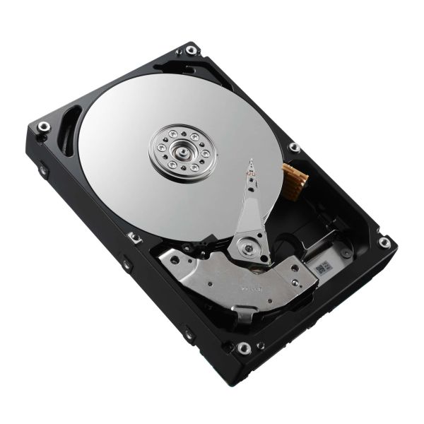Dell 10TB 7.2K SAS 12G 3.5" Harde Schijf (400-ANVD-RFB)