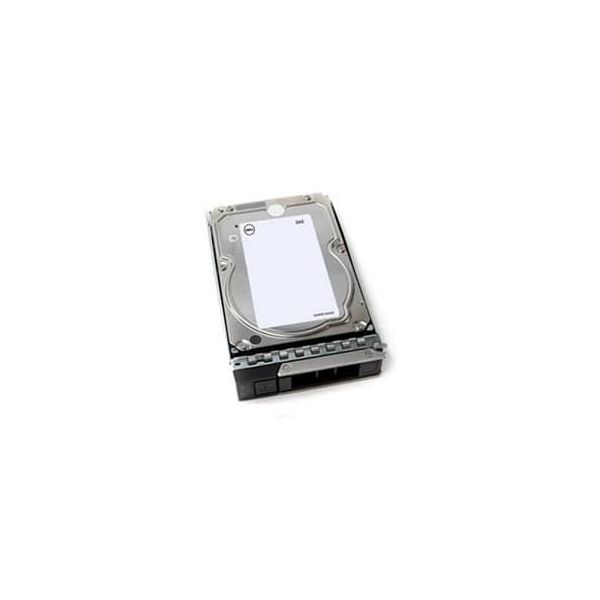 Dell 10TB 7.2K RPM NLSAS 12Gbps Interne Harde Schijf (400-ATKZ-RFB)