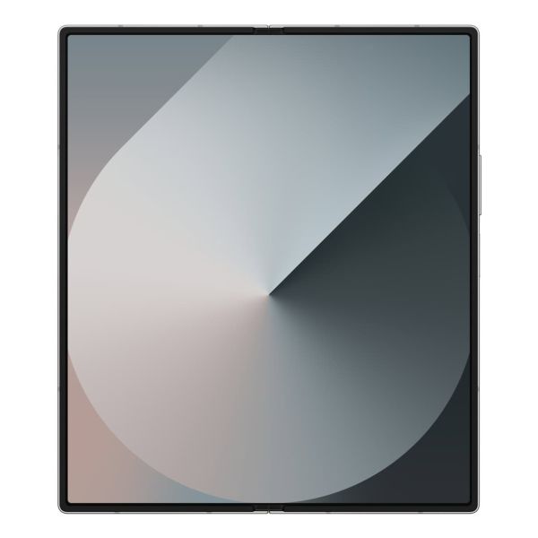 Samsung Galaxy Z Fold6 19,3 cm (7.6") Dual SIM Android 14 5G USB Type-C 12 GB 1 TB 4400 mAh Zilver (SM-F956BZSNEUB)