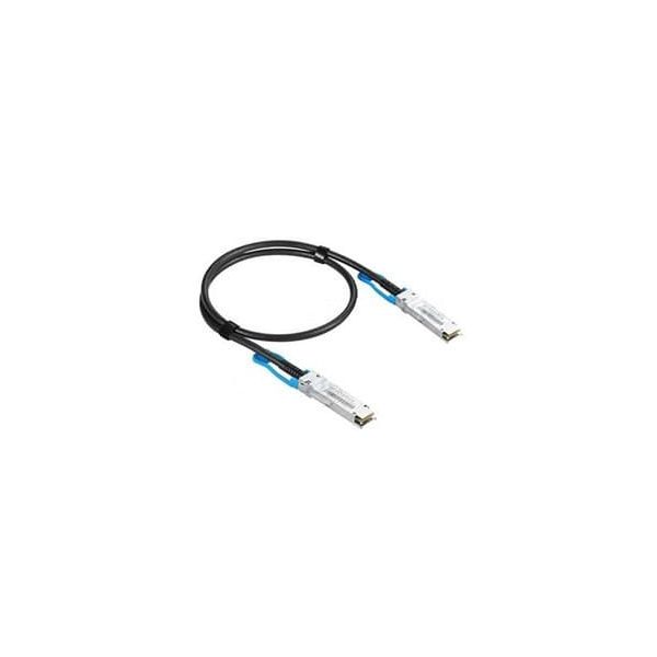Extreme Networks - SFPDD 20G Cables SFPDD to SFPDD 20G DAC 0.5M (20G-DACP-SFPDDZ5M) (20G-DACP-SFPDDZ5M)