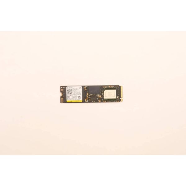 Lenovo SSD_ASM Interne Solid State Drive (5SS0W79546)
