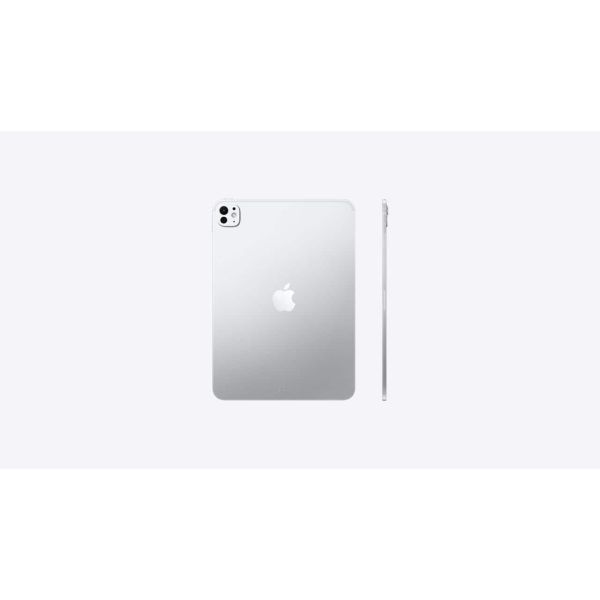 Apple iPad Pro 11 (6e generatie) 256GB WiFi+LTE Silver (4E2P4Z/A-AS)