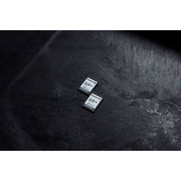 Kingston Technology 64G SDXC Industrial pSLC (SDIT/64GB)