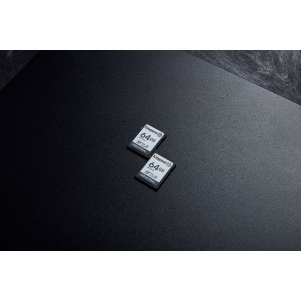 Kingston Technology 64G SDXC Industrial pSLC (SDIT/64GB)