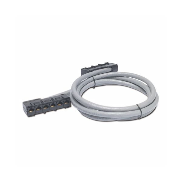 APC 21ft Cat5e UTP, 6x RJ-45 - 6x RJ-45 netwerkkabel Grijs 6,4 m U/UTP (UTP) (DDCC5E-021)