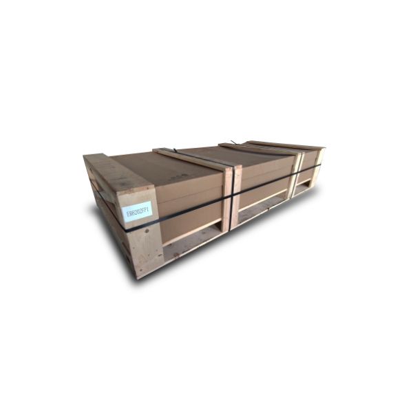APC NetShelter Easy ER6202FP1 - 42U/HE, 600mm(b) x 1000mm(d) 19" IT rack, met zijpanelen, ongemonteerd (ER6202FP1)