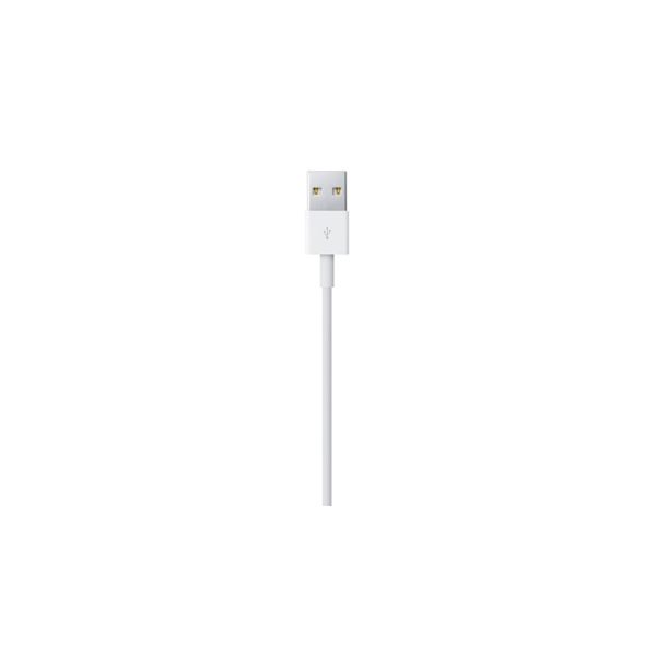 Apple Lightning / USB 0,5 m Wit (ME291ZM/A)