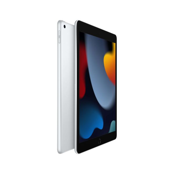 Apple iPad 256 GB 25,9 cm (10.2") Wi-Fi 5 (802.11ac) iPadOS 15 Zilver (MK2P3FD/A)