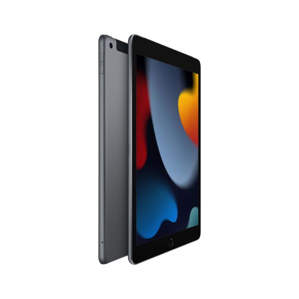 Apple iPad 4G LTE 256 GB 25,9 cm (10.2") Wi-Fi 5 (802.11ac) iPadOS 15 Grijs (MK4E3FD/A)