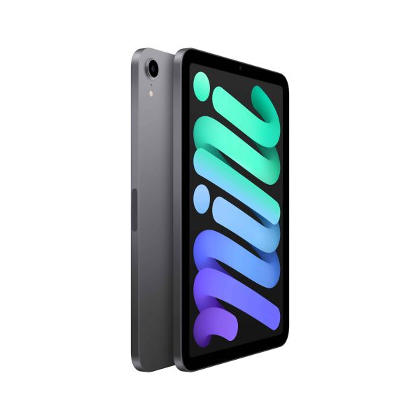 Apple iPad mini 64 GB 21,1 cm (8.3") Wi-Fi 6 (802.11ax) iPadOS 15 Grijs (MK7M3FD/A)