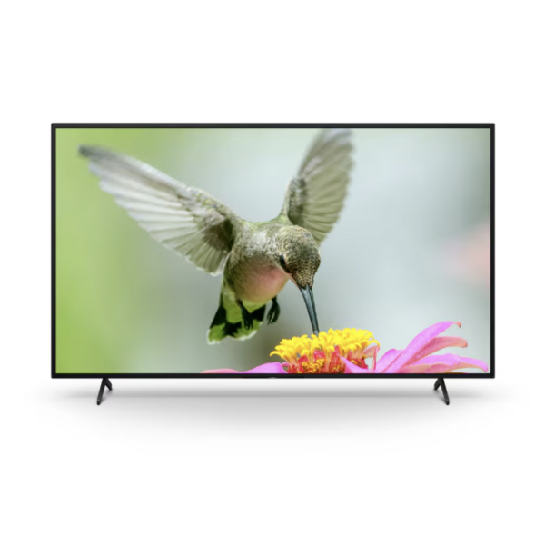 Sony FW-55BZ40L 55" BRAVIA Professional Display (FW-55BZ40L)