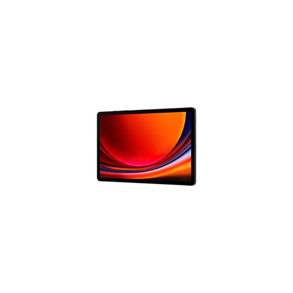 Samsung Galaxy Tab S9 SM-X710N 128 GB 27,9 cm (11") Qualcomm Snapdragon 8 GB Wi-Fi 6 (802.11ax) Android 13 Grafiet (SM-X710NZAAEUB)