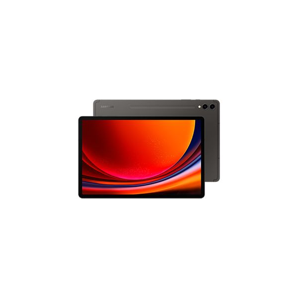 Samsung Galaxy Tab S9+ SM-X810N 256 GB 31,5 cm (12.4") Qualcomm Snapdragon 12 GB Wi-Fi 6 (802.11ax) Android 13 Grafiet (SM-X810NZAAEUB)