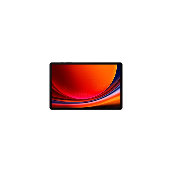 Samsung Galaxy Tab S9+ SM-X810N 256 GB 31,5 cm (12.4") Qualcomm Snapdragon 12 GB Wi-Fi 6 (802.11ax) Android 13 Grafiet (SM-X810NZAAEUB)