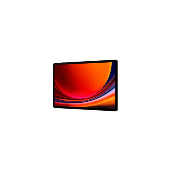 Samsung Galaxy Tab S9+ SM-X810N 256 GB 31,5 cm (12.4") Qualcomm Snapdragon 12 GB Wi-Fi 6 (802.11ax) Android 13 Grafiet (SM-X810NZAAEUB)