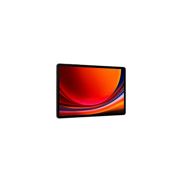 Samsung Galaxy Tab S9+ SM-X810N 256 GB 31,5 cm (12.4") Qualcomm Snapdragon 12 GB Wi-Fi 6 (802.11ax) Android 13 Grafiet (SM-X810NZAAEUB)