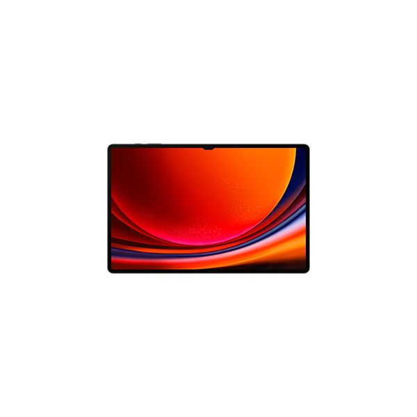 Samsung Galaxy Tab S9 Ultra SM-X910N 1 TB 37,1 cm (14.6") Qualcomm Snapdragon 16 GB Wi-Fi 6 (802.11ax) Android 13 Grafiet (SM-X910NZAIEUB)