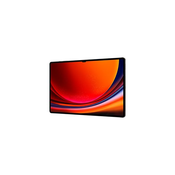 Samsung Galaxy Tab S9 Ultra SM-X910N 1 TB 37,1 cm (14.6") Qualcomm Snapdragon 16 GB Wi-Fi 6 (802.11ax) Android 13 Grafiet (SM-X910NZAIEUB)