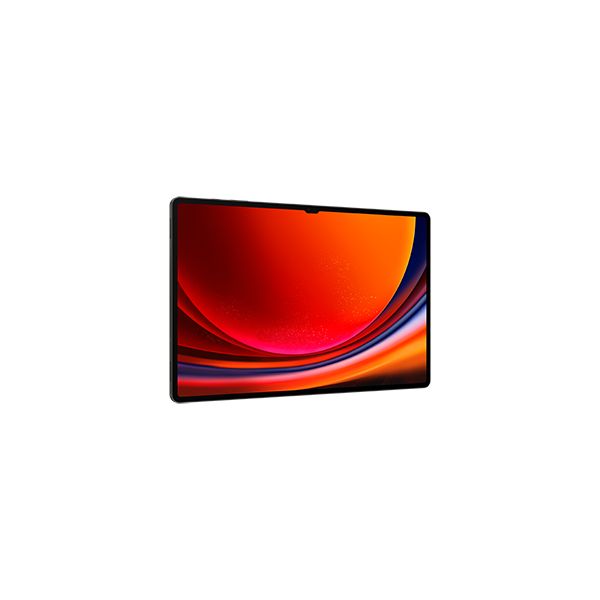 Samsung Galaxy Tab S9 Ultra SM-X910N 1 TB 37,1 cm (14.6") Qualcomm Snapdragon 16 GB Wi-Fi 6 (802.11ax) Android 13 Grafiet (SM-X910NZAIEUB)