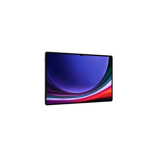 Samsung Galaxy Tab S9 Ultra SM-X916B 5G 256 GB 37,1 cm (14.6") Qualcomm Snapdragon 12 GB Wi-Fi 6 (802.11ax) Android 13 Beige (SM-X916BZEAEUB)