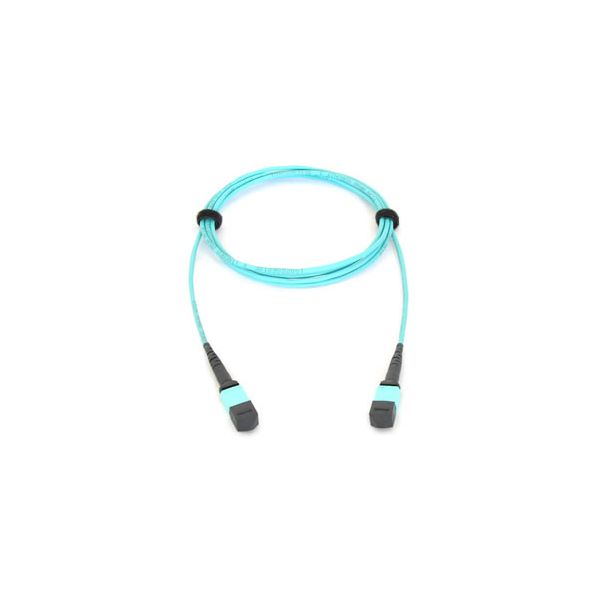 Allied Telesis AT-MTP12-5 Glasvezel kabel 5 m MTP (AT-MTP12-5) Allied Telesis AT-MTP12-5 Glasvezel kabel 5 m MTP (AT-MTP12-5)