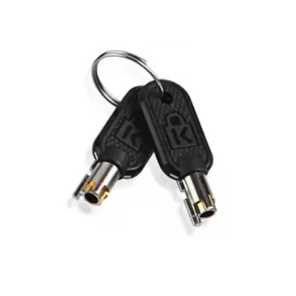 Lenovo 4Z10P40249 accessoire voor kabelsloten Sleutel Grijs (4Z10P40249)