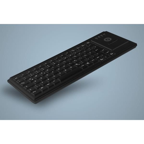 Active Key AK-4400-T toetsenbord PS/2 Frans Zwart (AK-4400-TP-B/FR)