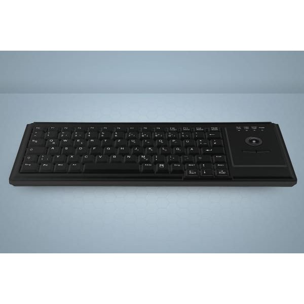 Active Key AK-4400-T toetsenbord PS/2 UK International Zwart (AK-4400-TP-B/UK)