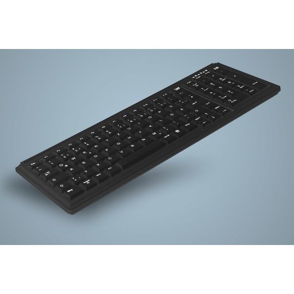 Active Key AK-7000 toetsenbord USB QWERTY Engels Zwart (AK-7000-U-B/US)