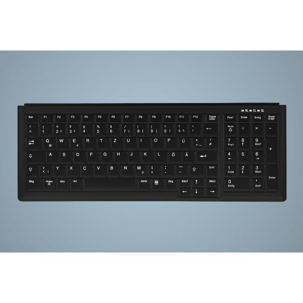 Active Key AK-7000 toetsenbord USB QWERTY Engels Zwart (AK-7000-U-B/US)