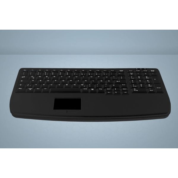 Active Key AK-7410-G toetsenbord PS/2 Duits Zwart (AK-7410-GP-B/GE)