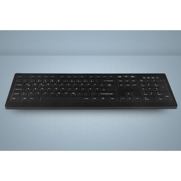 Active Key AK-C8100 toetsenbord USB Amerikaans Engels Zwart (AK-C8100F-U1-B/US)