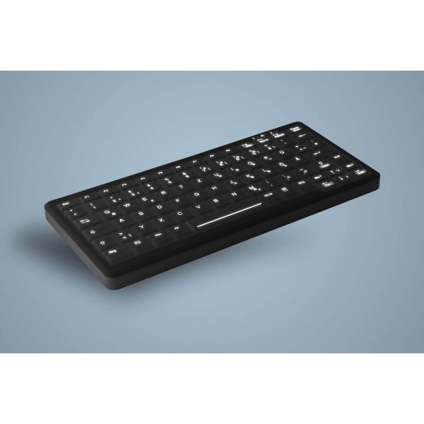 Active Key AK-CB4110 toetsenbord USB Duits Zwart (AK-CB4110F-U1-B/GE)