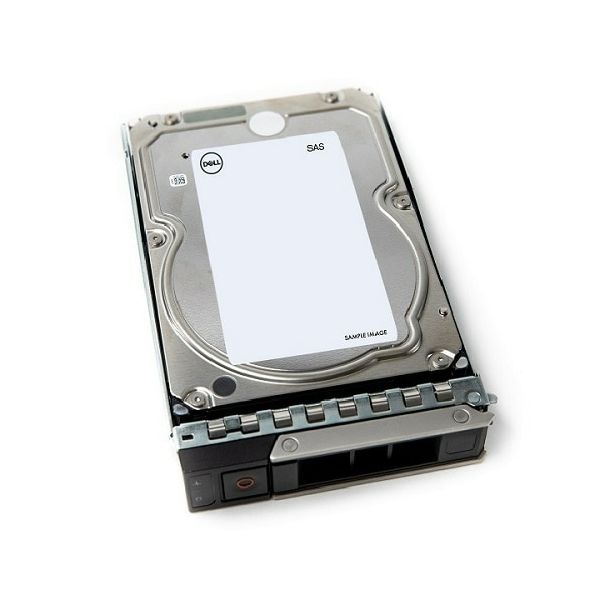 DELL 161-BCJX interne harde schijf 12 TB 7200 RPM 3.5" NL-SAS (161-BCJX)