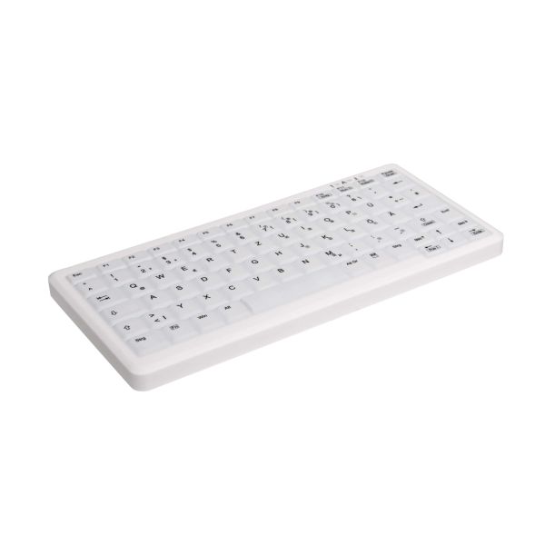 CHERRY AK-C4110 toetsenbord USB QWERTY Amerikaans Engels Wit (AK-C4110F-U1-W/US)