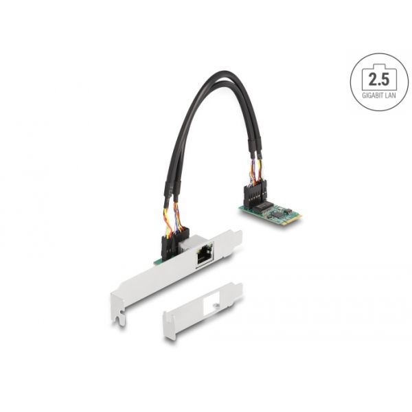 DeLOCK 95272 netwerkkaart Intern Ethernet 2500 Mbit/s (95272)