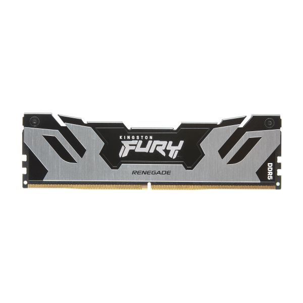 Kingston Technology FURY 48GB 6400MT/s DDR5 CL32 DIMM Renegade Silver XMP