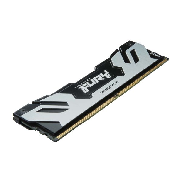 Kingston Technology FURY 48GB 6400MT/s DDR5 CL32 DIMM (set van 2) Renegade Silver XMP (KF564C32RSK2-48)